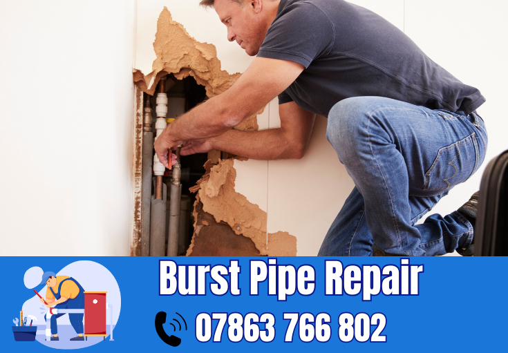 burst pipe repair Appleton