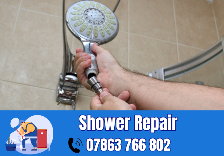 shower repair Appleton