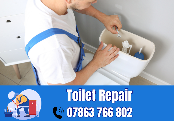 toilet repair Appleton